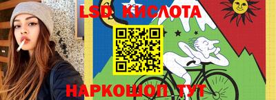 крисы Тверь