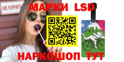 спайс Тара