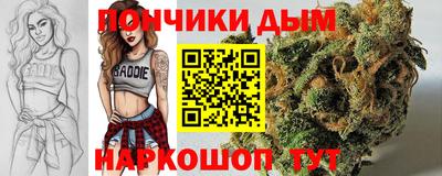 крисы Тверь